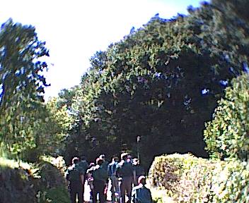 Main Camp