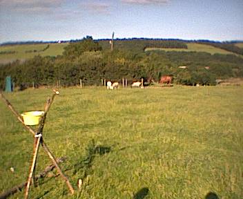 Main Camp