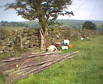 Main Camp
