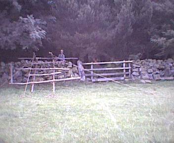 Main Camp