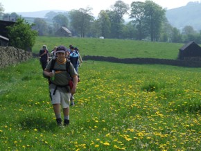 Click to Enlarge