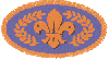 Chief Scout's Bronze Award