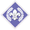Chief Scout's Diamond Award