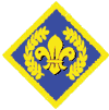 Chief Scout's Platinum Award