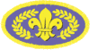 Chief Scout's Gold Award